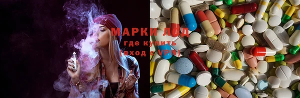PSILOCYBIN Карталы
