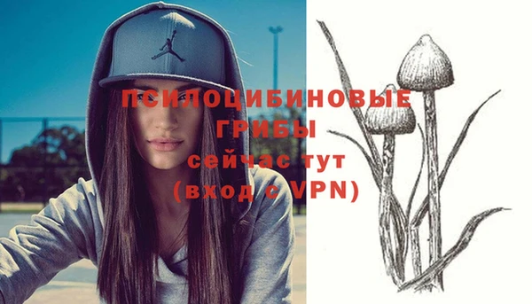 соль курить ск Кинешма